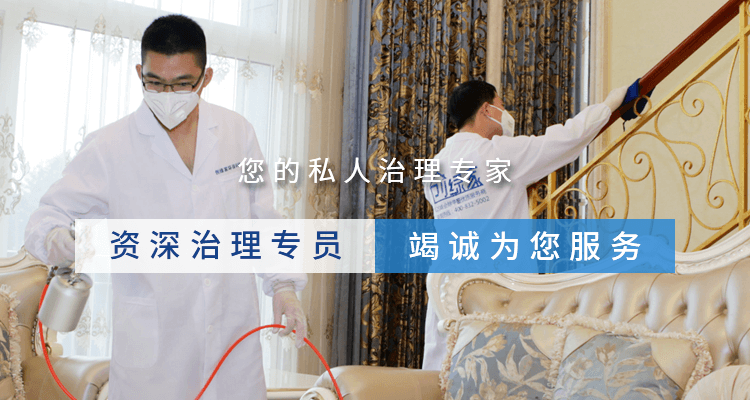 电脑版首页幻灯片	杭州创绿家，您的私人管家，呵护您的呼吸健康